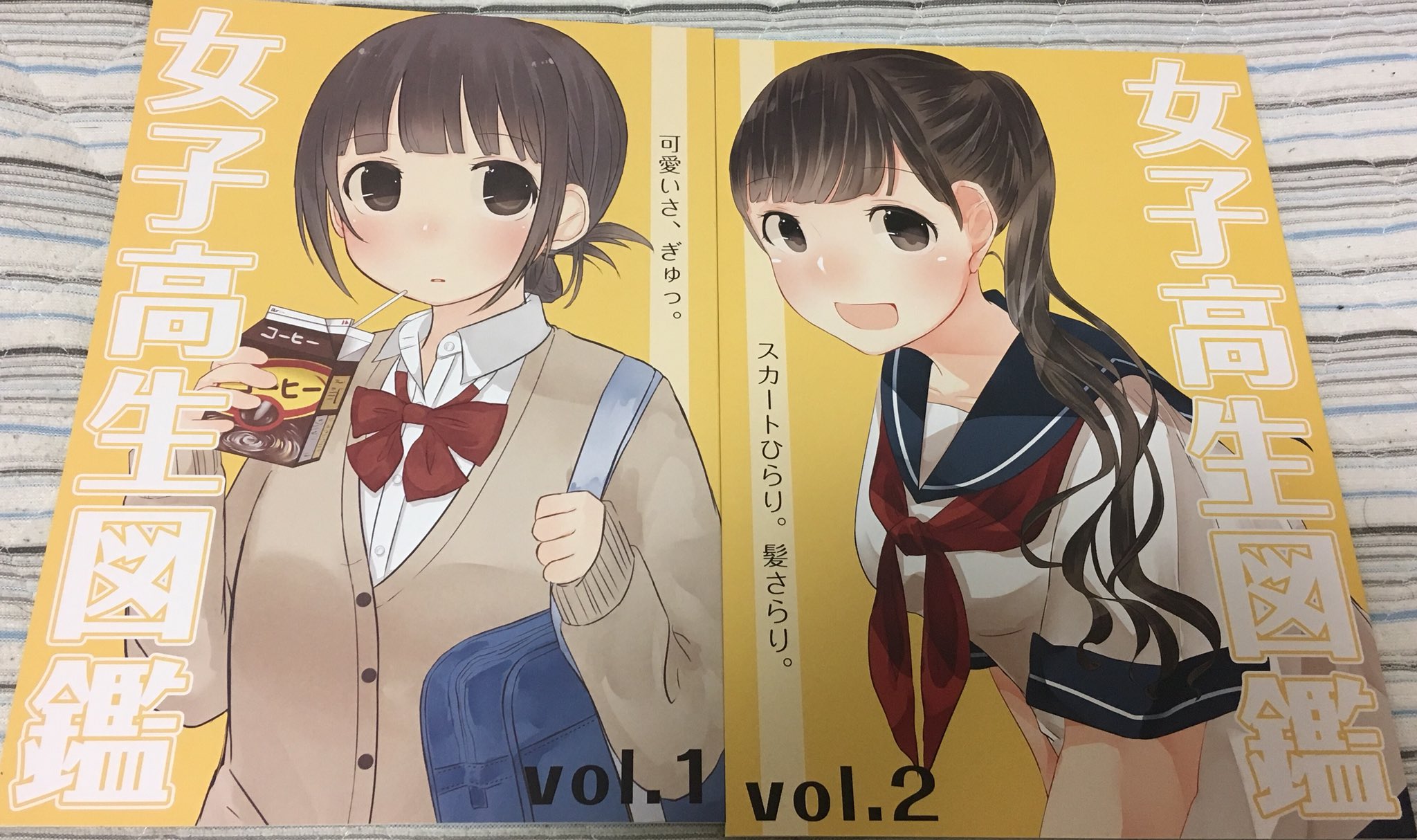 やおよろずの趣味 Twitterren 今日買った ふあさん Fua32 の女子高生図鑑 めちゃくちゃ面白い 髪型とか制服の着こなしのバリエーションとか 文化祭あるあるとか そんな人いたいた ってなることから男子には予想外のあるあるネタまで かわいいイラストで紹介