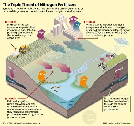 The triple threat of #nitrogen fertilization _ ⁦@MarkNitrogen⁩ ⁦@TowardsINMS⁩ ⁦@zartajgulwazir⁩ ⁦@ZarrarKhuhro⁩ #EveryWhereAndInvisible