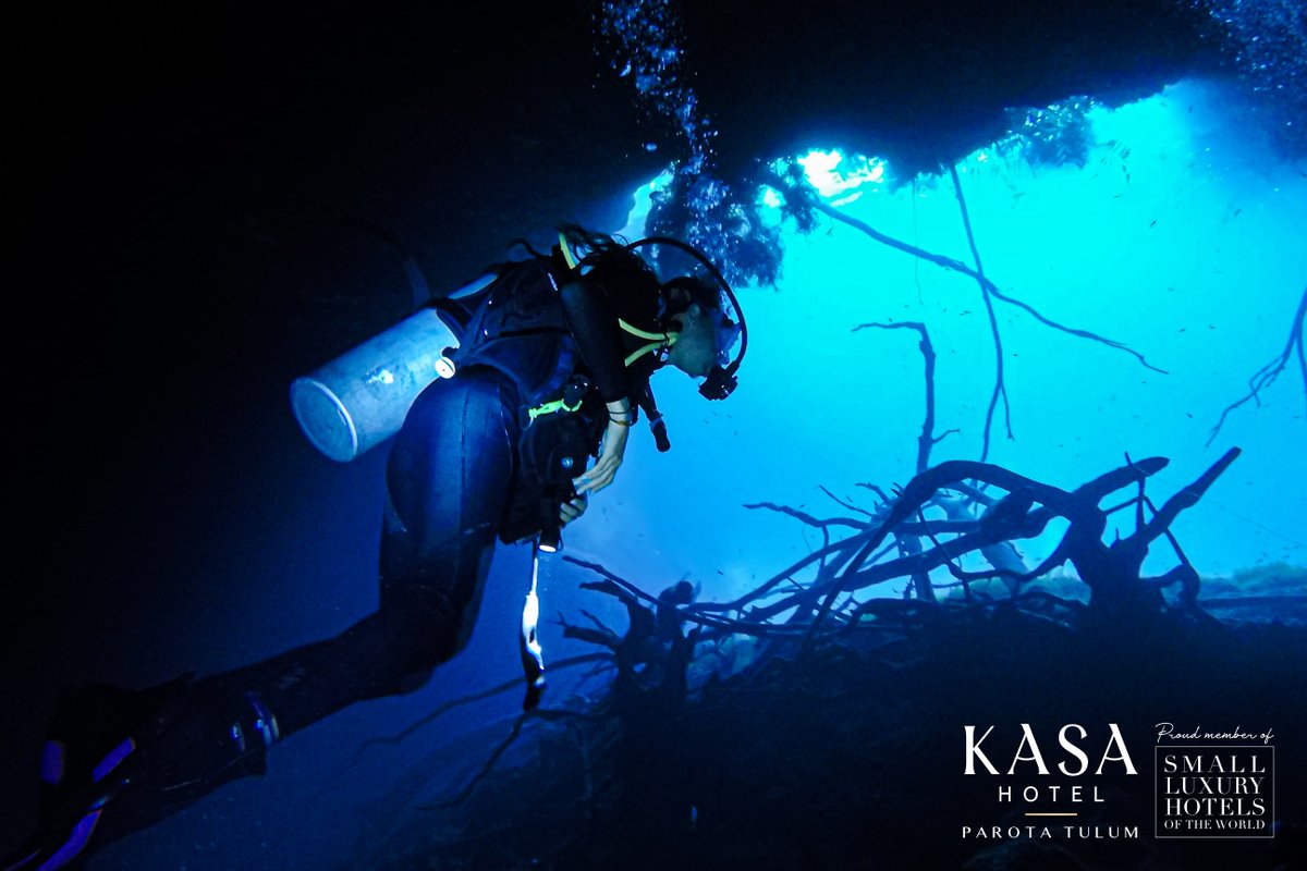 KASAHotelParota's tweet photo. Get out of the routine and immerse yourself in a new adventure, discover the depths of the crystal clear waters of natural pools and the treasures that shelter inside! https://t.co/75cPxRP7qm #diving #divingisfun #goodiving #dive #scubadiving #scuba #underwater #buceo #bucear https://t.co/NrQbBBHTIb