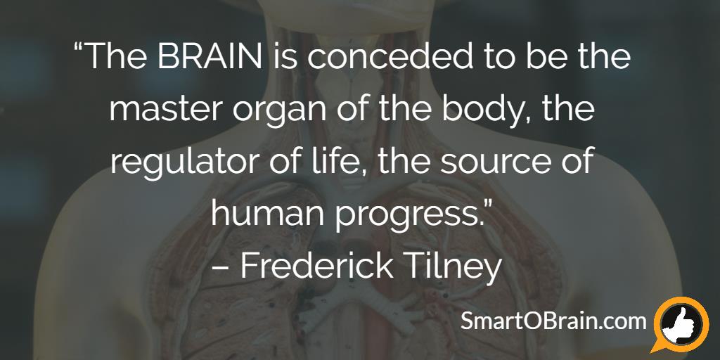 smartobrain_'s tweet photo. The BRAIN is the master organ. #quote #quoteoftheday #quotes https://t.co/xJ61dYF4RH