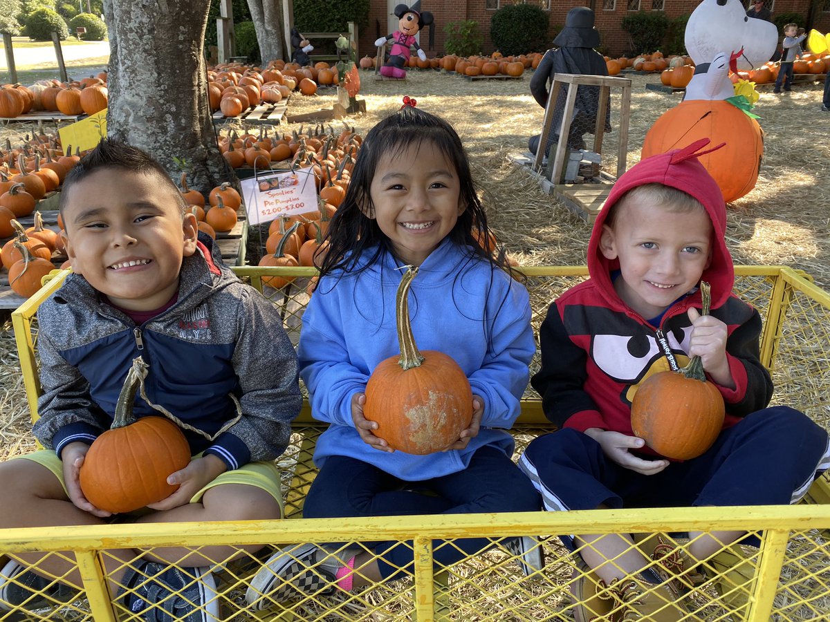 Jennifer Sulloway tweet media