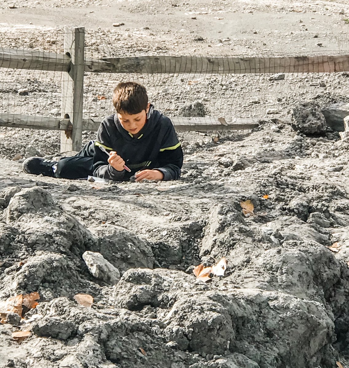 HPIPerrysburg's tweet photo. 6th grade Green and Blue teams at Fossil Park today, hands-on learning about limestone, local quarries, and fossils in NW Ohio 🐚 https://t.co/GFrbM8cTbK