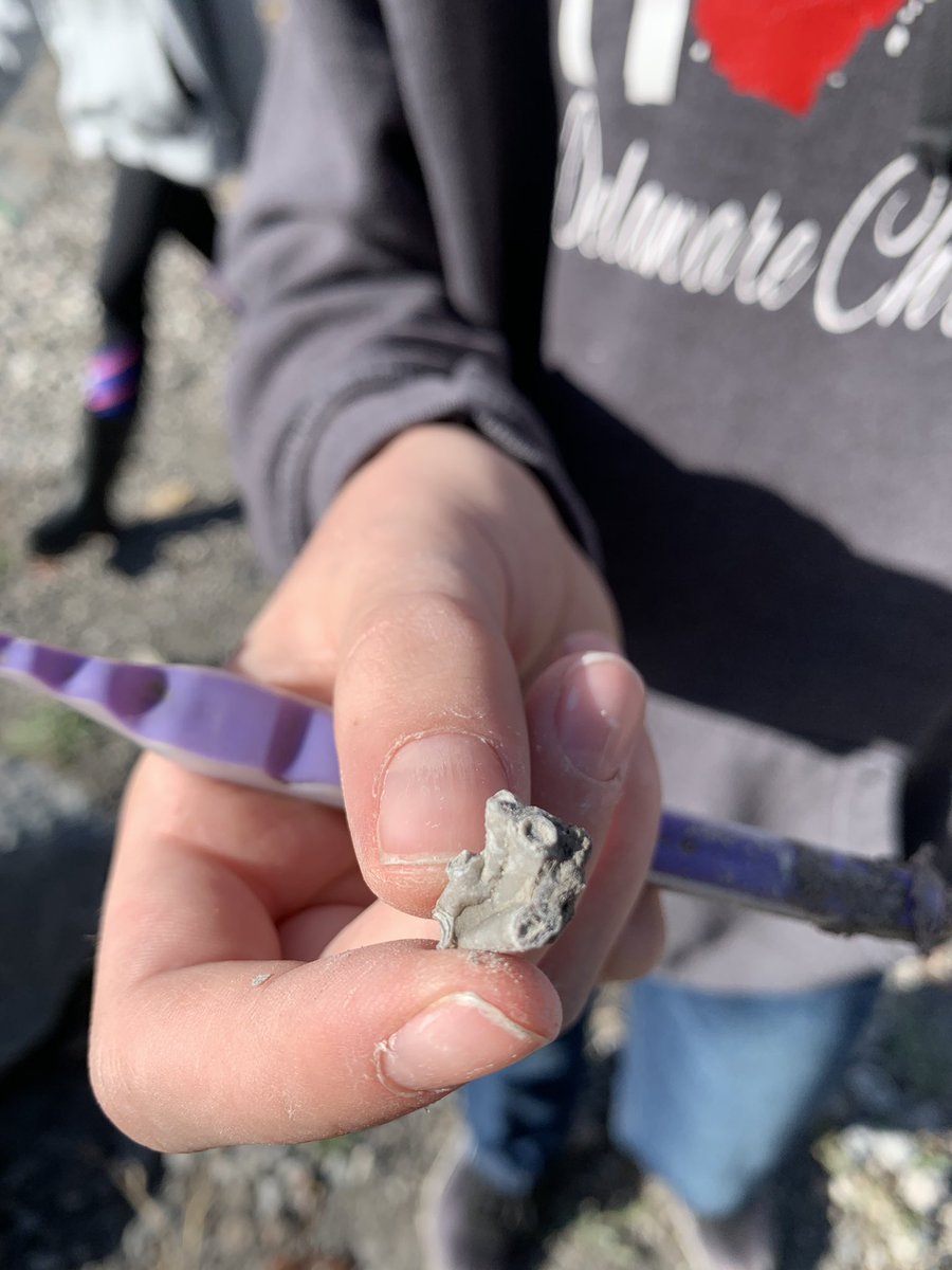 HPIPerrysburg's tweet photo. 6th grade Green and Blue teams at Fossil Park today, hands-on learning about limestone, local quarries, and fossils in NW Ohio 🐚 https://t.co/GFrbM8cTbK