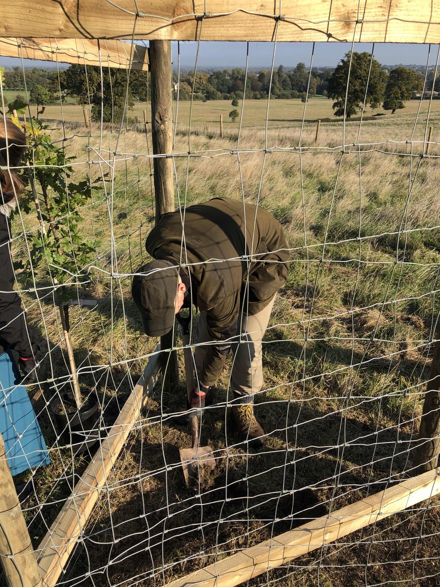 oxentia's tweet photo. No day is like another at Oxentia 😎Today we planted an oak tree 🌳 @OxUInnovation plants a tree for each company that is created through the tech transfer office of the @UniofOxford.....A great reason to celebrate our roots! Thank you 🌳🍁🍂 https://t.co/DalrhEw1GQ