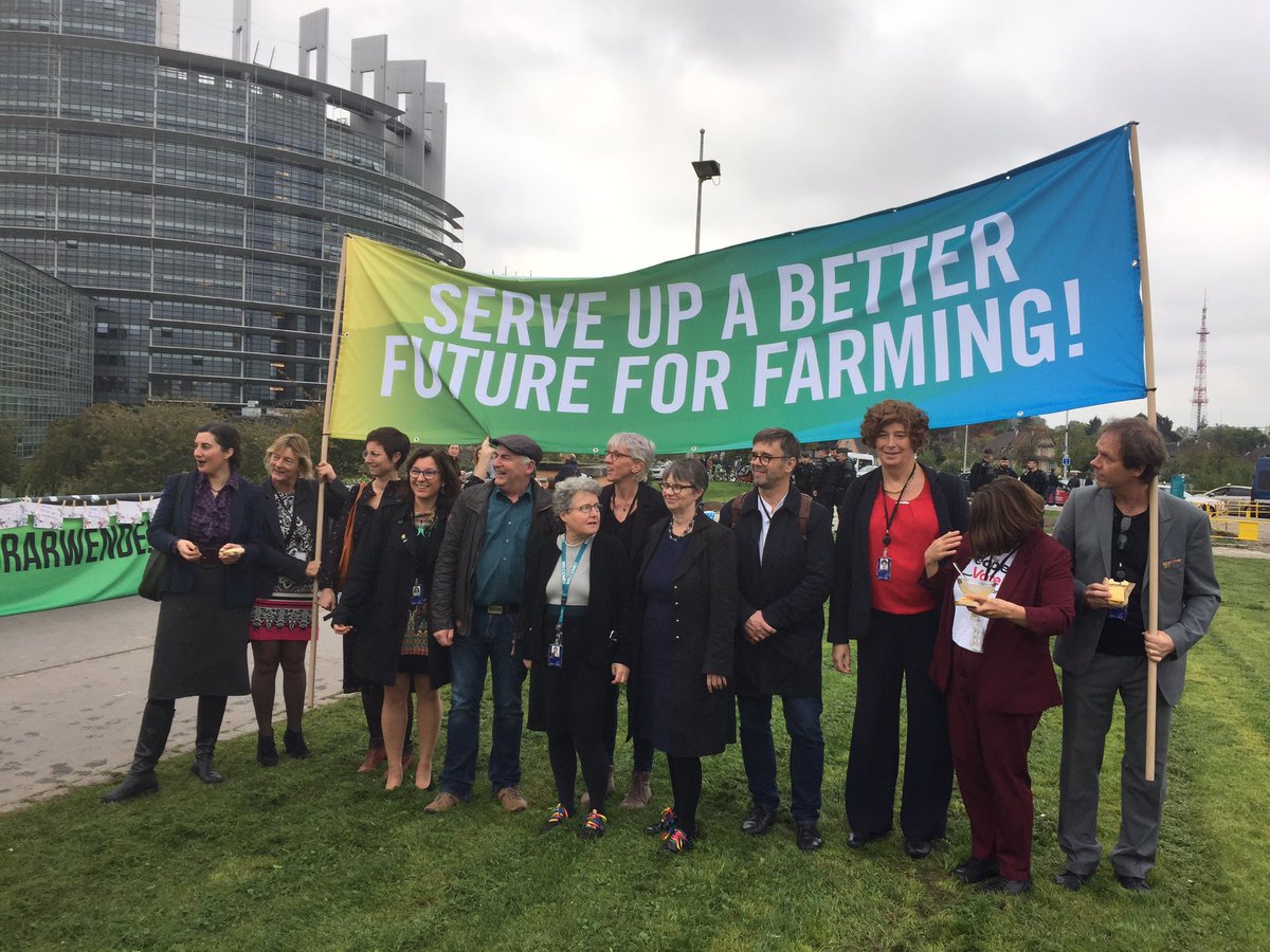 Grace O'Sullivan tweet media