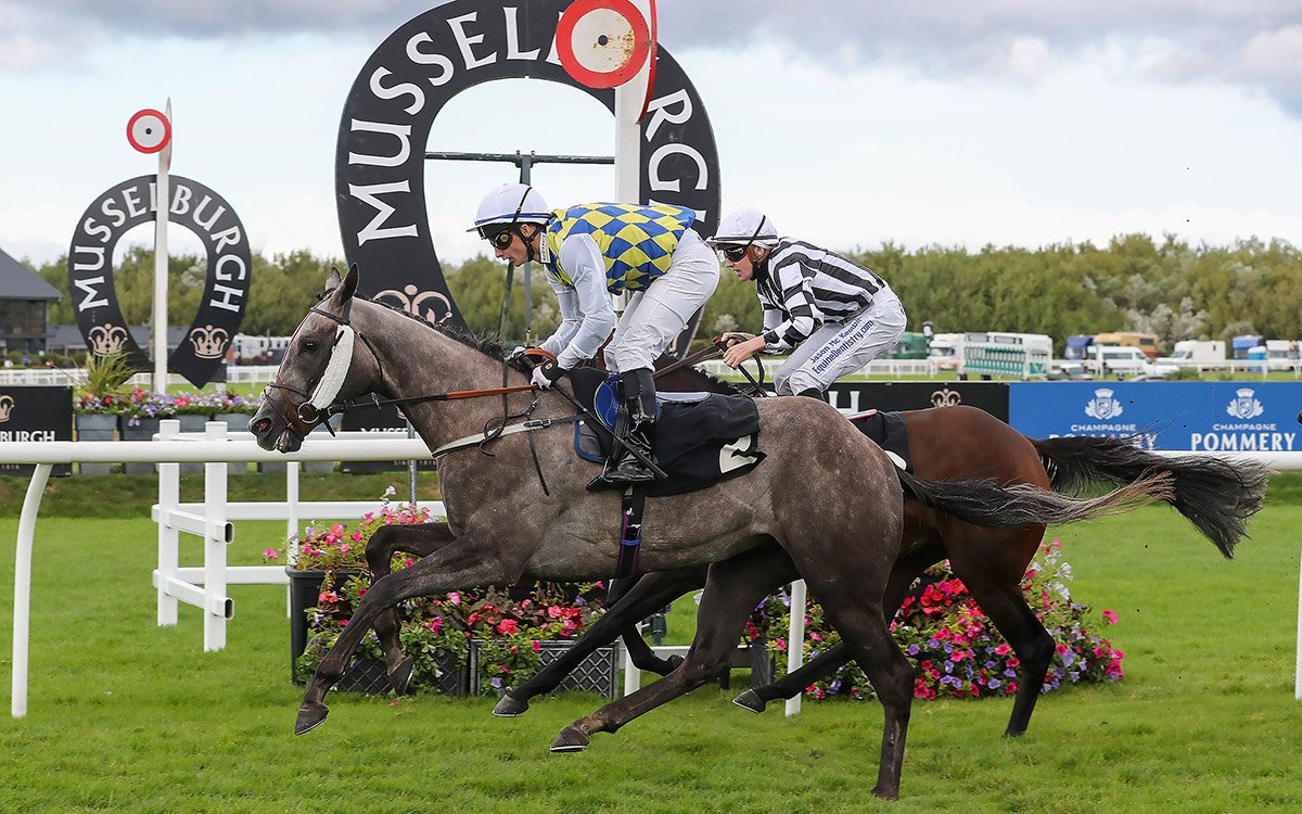Musselburgh Racecourse (@MusselburghRace) | Twitter