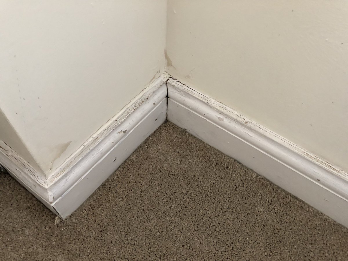 SimpsonCatering's tweet photo. @BarrattHomes this is my en-suite. thanks for a superb job. 4 year old house. “Sorry our guarantee does not cover grouting and mastic. Therefore we can do the job as 💩 as we like” https://t.co/jwlpAJM8Ie