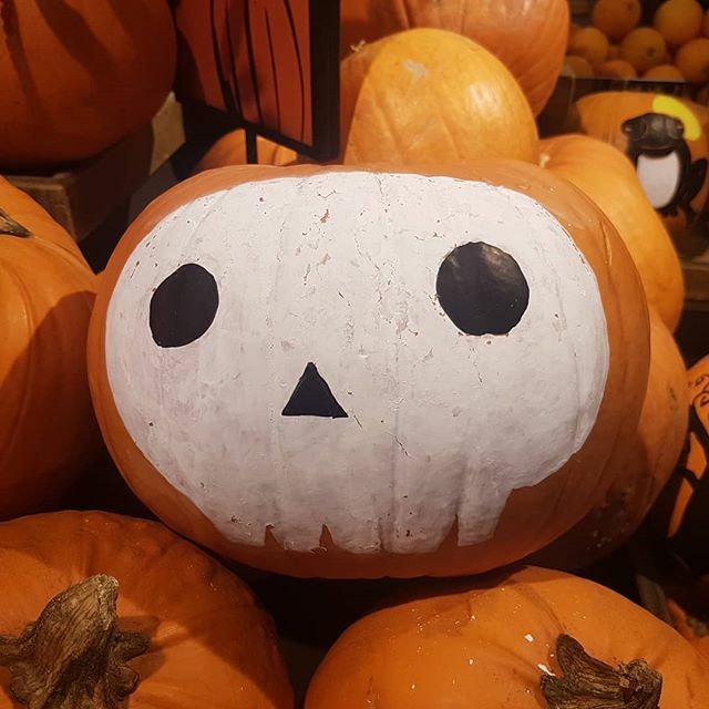 NJSkinDeep's tweet photo. "This is Halloween" 🎶
#halloween #pumpkin #skull #spooky #autumn #autumnvibes🍁 #autumnal #fall #october https://t.co/o2f7FJ4lBP https://t.co/mVu2fEU7Tq