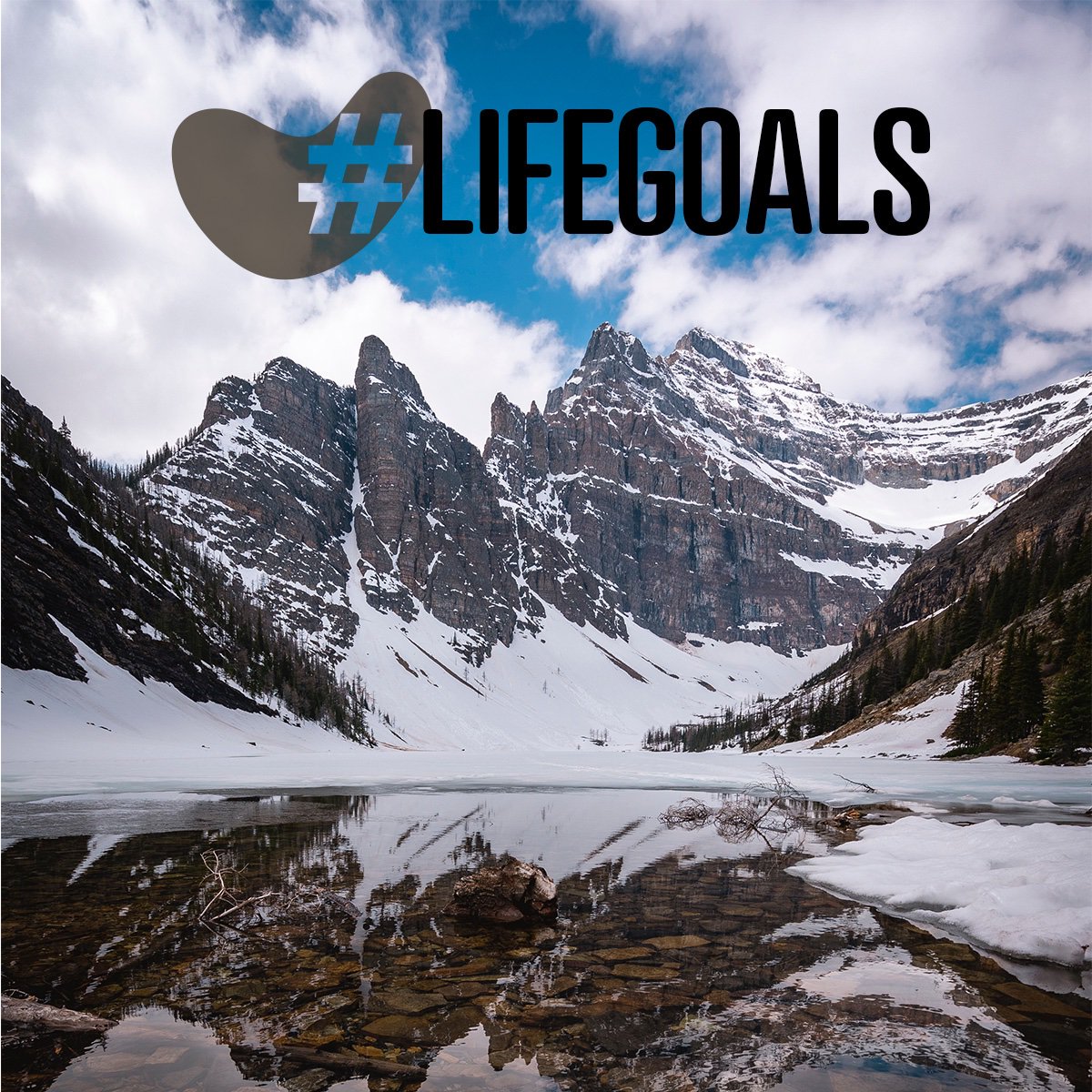 What are your #lifegoals? 
We offer a free consultation for start-ups to get you on the right path to setting up your business.
#TuesdayMotivation #startups