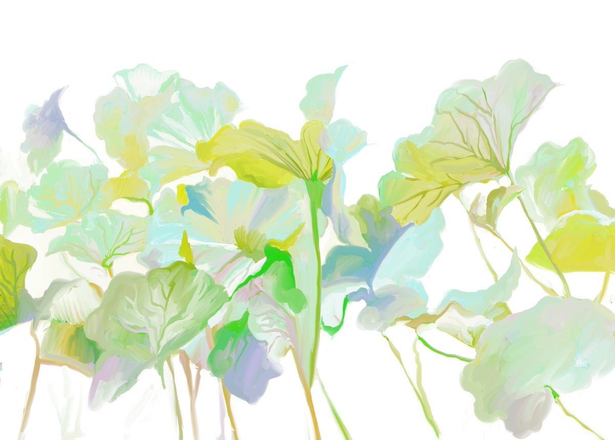 no humans white background flower still life simple background leaf plant  illustration images