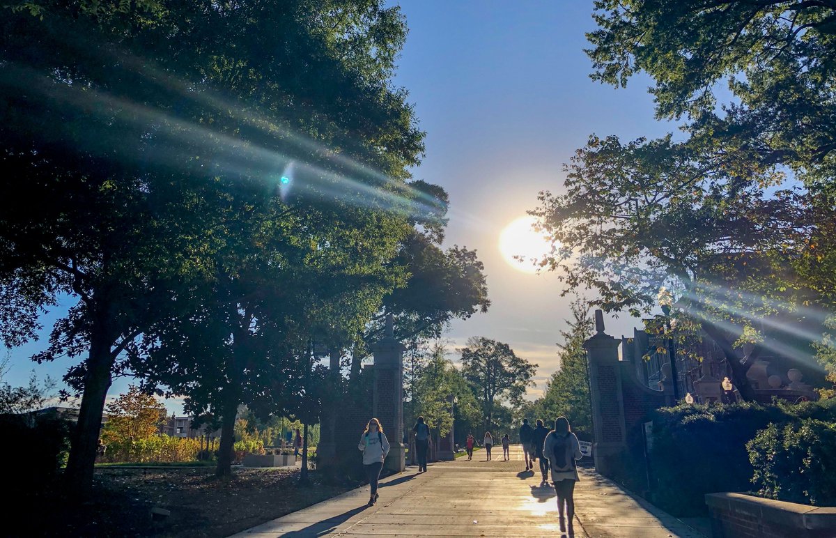 Riiissee &amp; shiiinnee Mocs 😎☀️✨