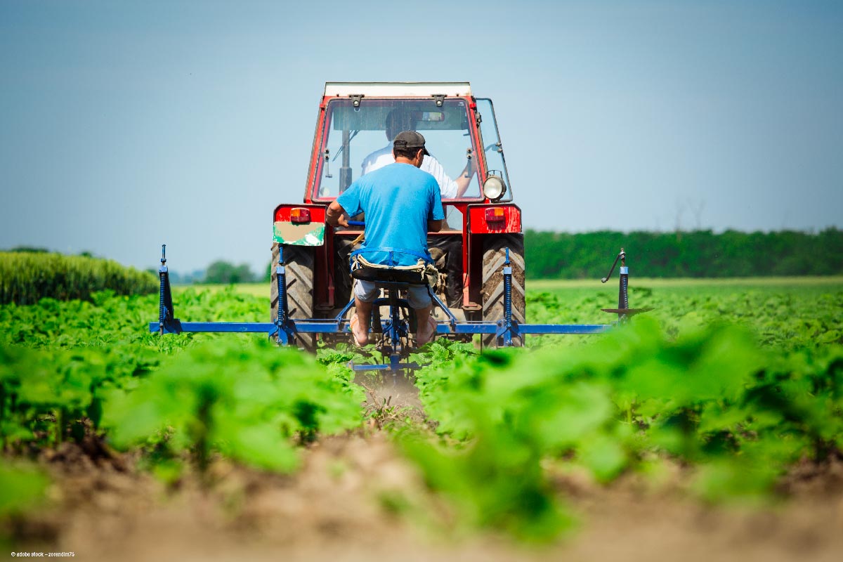 terresunivia's tweet photo. L'interprofession se mobilise pour le #bio. Elle a participé au salon @TECHetBIO et répondu aux questions sur le diagnostic des filières françaises des #oléagineux, #protéagineux et #légumessecs, aux côtés de @terresinovia. En savoir plus? https://t.co/hPacal97g9 https://t.co/L1EIVxIPnv