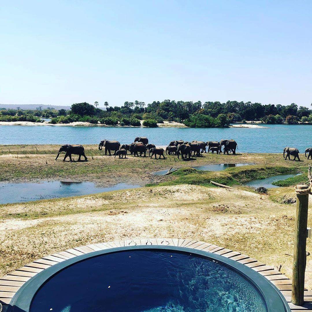 Double Tracks Africa tweet media