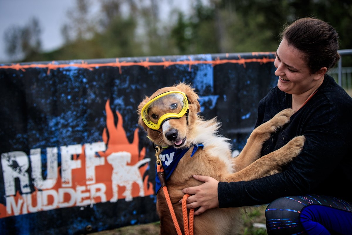 ToughMudder's tweet photo. There's just one more #ChewyRuffMudder remaining for the year. Will your pooch be beside you in Mudder Village? https://t.co/jWuZePezzs @Chewy https://t.co/lLAe3ghFBd