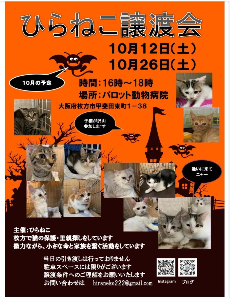 chibineko2222's tweet photo. 今週末、譲渡会です。たくさんの子猫も参加です。 https://t.co/zO9Z9VxNUj