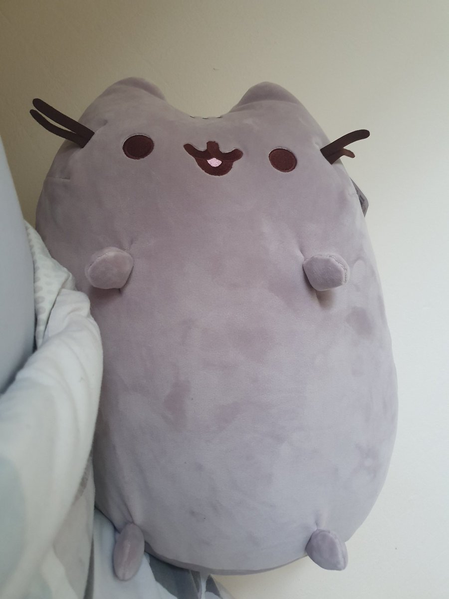 AnimeUKLemon's tweet photo. tfw you develop a legitimate emotional connection with pusheen https://t.co/eD7U6qWw96