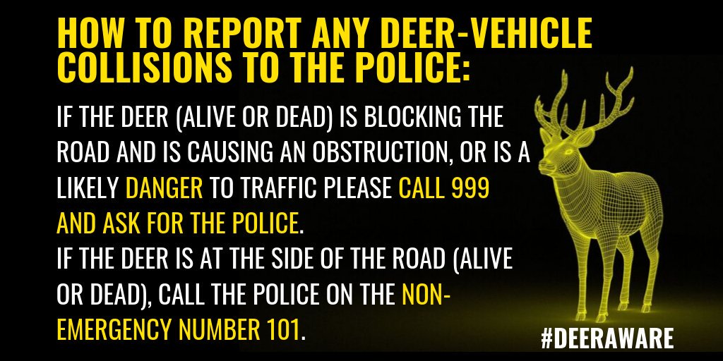 Deer_Aware's tweet image. During danger periods or on roads with heightened risk of deer crossings, drive with caution, at or below the speed limit #DeerAware #DVCs
