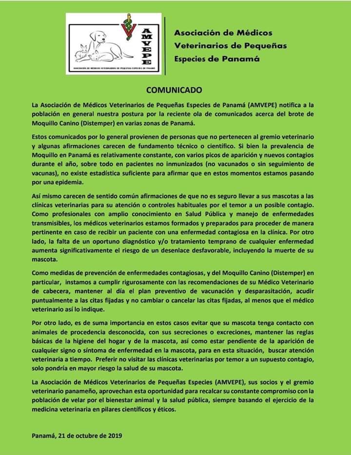 Fundación San Francisco de Asís ( FUNDASIS ) tweet media