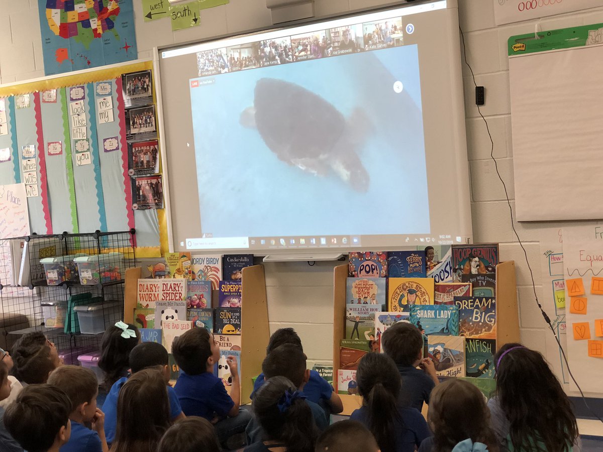 Melissa Mayer tweet media