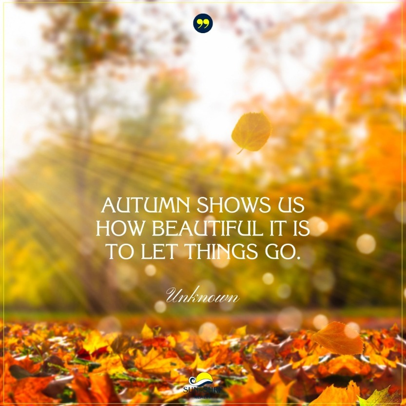 ACCinAmherst's tweet photo. As we are in our last weeks of Fall, here is some fall inspiration!  #ACCinAmherst https://t.co/33zMt6lDpN