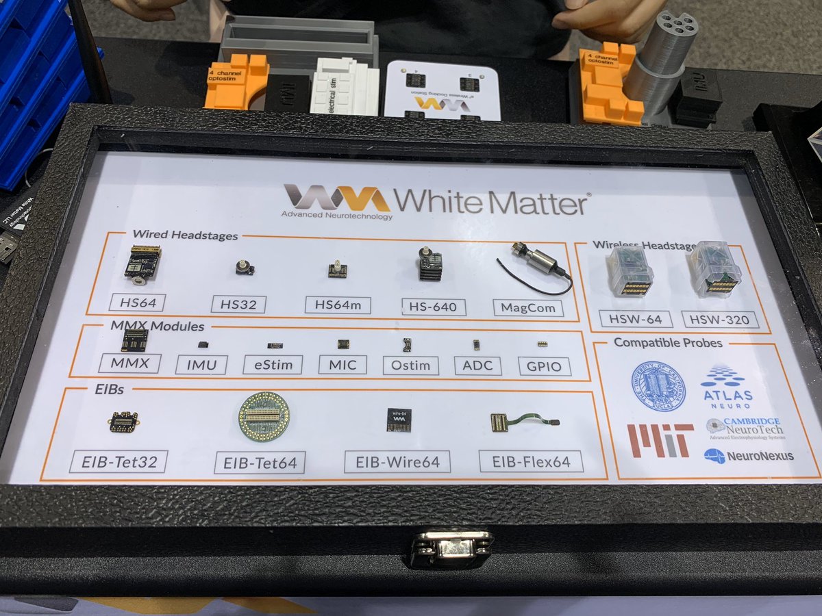 White Matter headstages