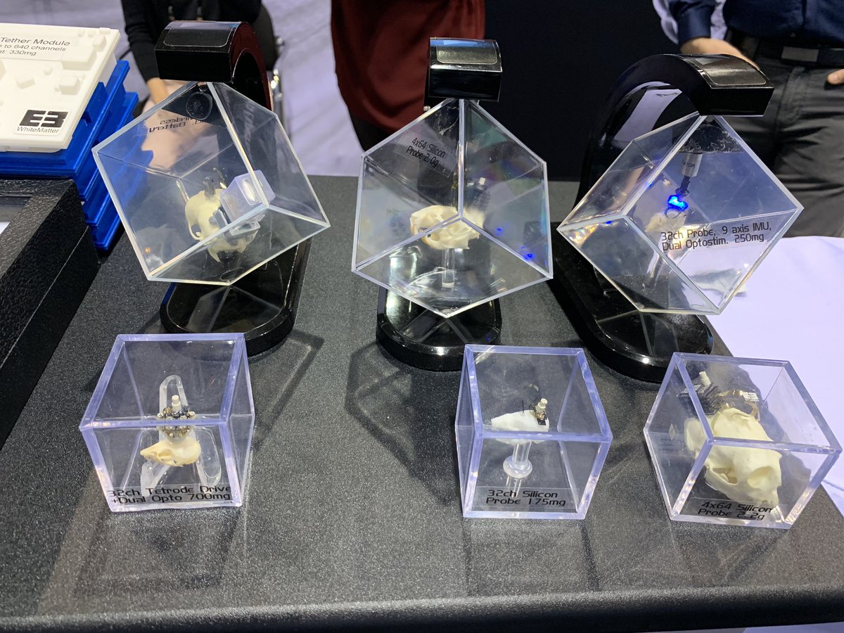 White Matter headstage models - 250mg to 2.2g