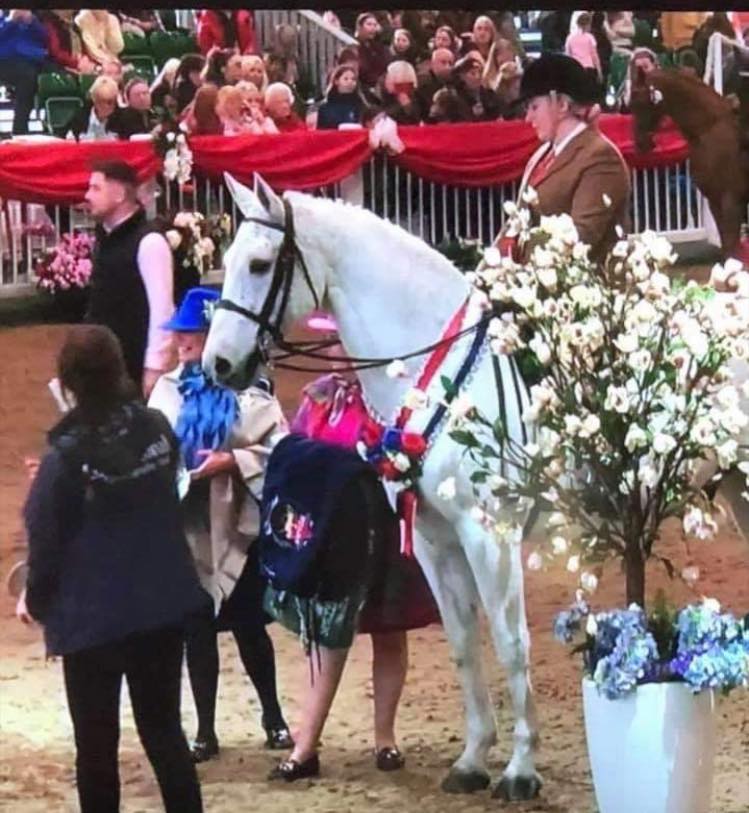 TheraPlateUK's tweet photo. Congratulations to Theraplate Lancashire's client Nico and his owners on a fantastic result, Stars Veteran Champion 😍🏆
#TheraPlateUK
📸: Theraplate Lancashire https://t.co/ulDXArsmW3