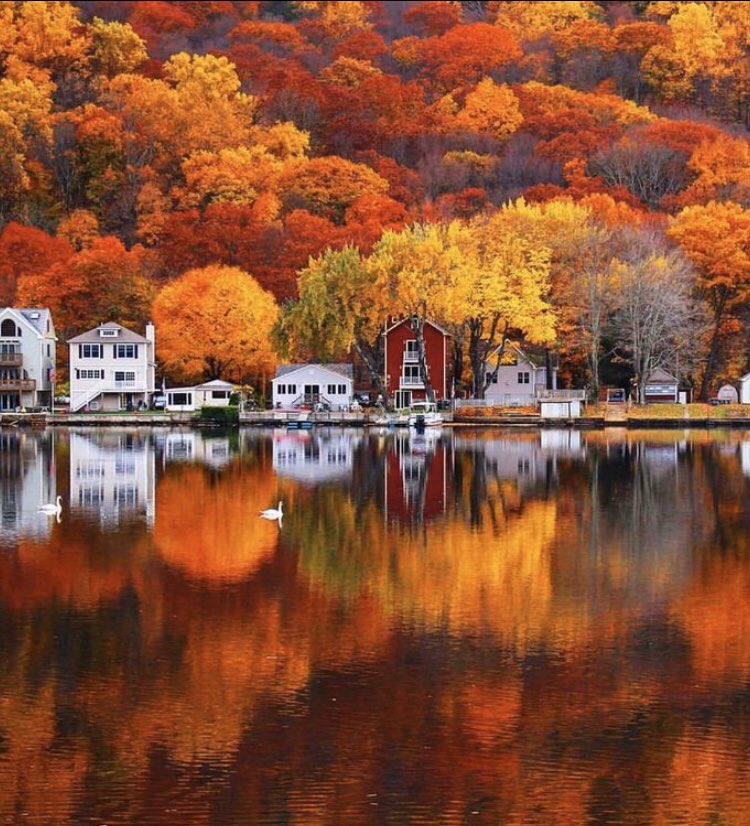 OPHELIANNE1's tweet image. ♥️💛🧡❤️ Early Autumn with fantastic colors ! magic landscapes 🎨😍
❤️💛🧡♥️