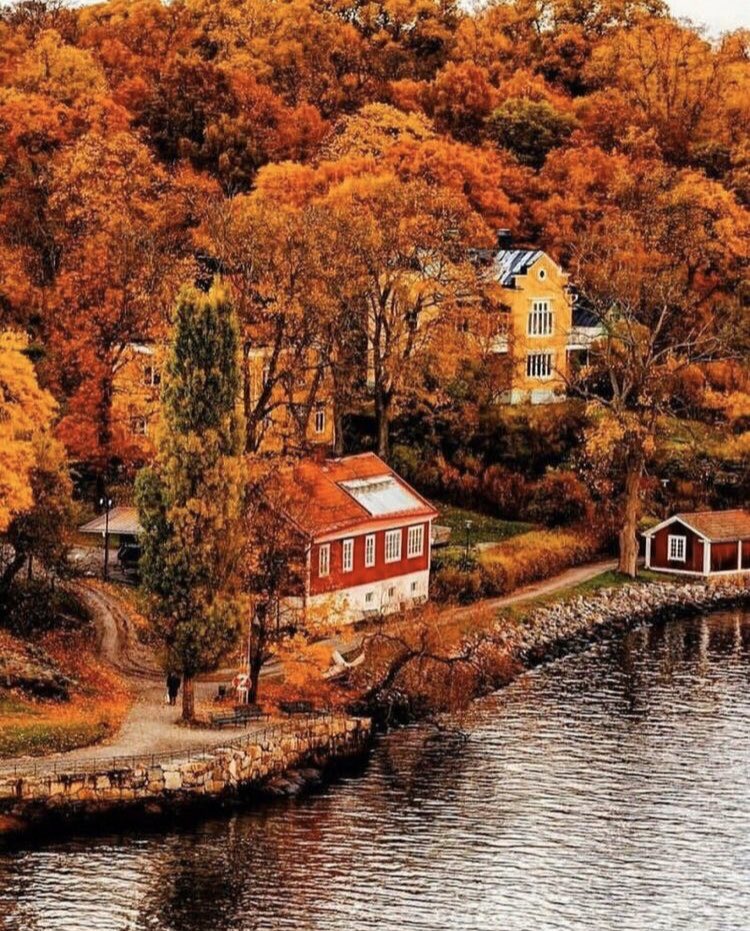 OPHELIANNE1's tweet image. ♥️💛🧡❤️ Early Autumn with fantastic colors ! magic landscapes 🎨😍
❤️💛🧡♥️