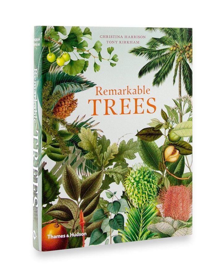TreesforCities's tweet photo. Competition time! Show us your best tree art and win the stunning book #RemarkableTrees 🌳 

Draw or paint a tree and send it to info@treesforcities.org with the subject line 'Art competition'. UK-residents only. Deadline: 15 Nov. Best of luck 😃 https://t.co/sRJ8rik7wV