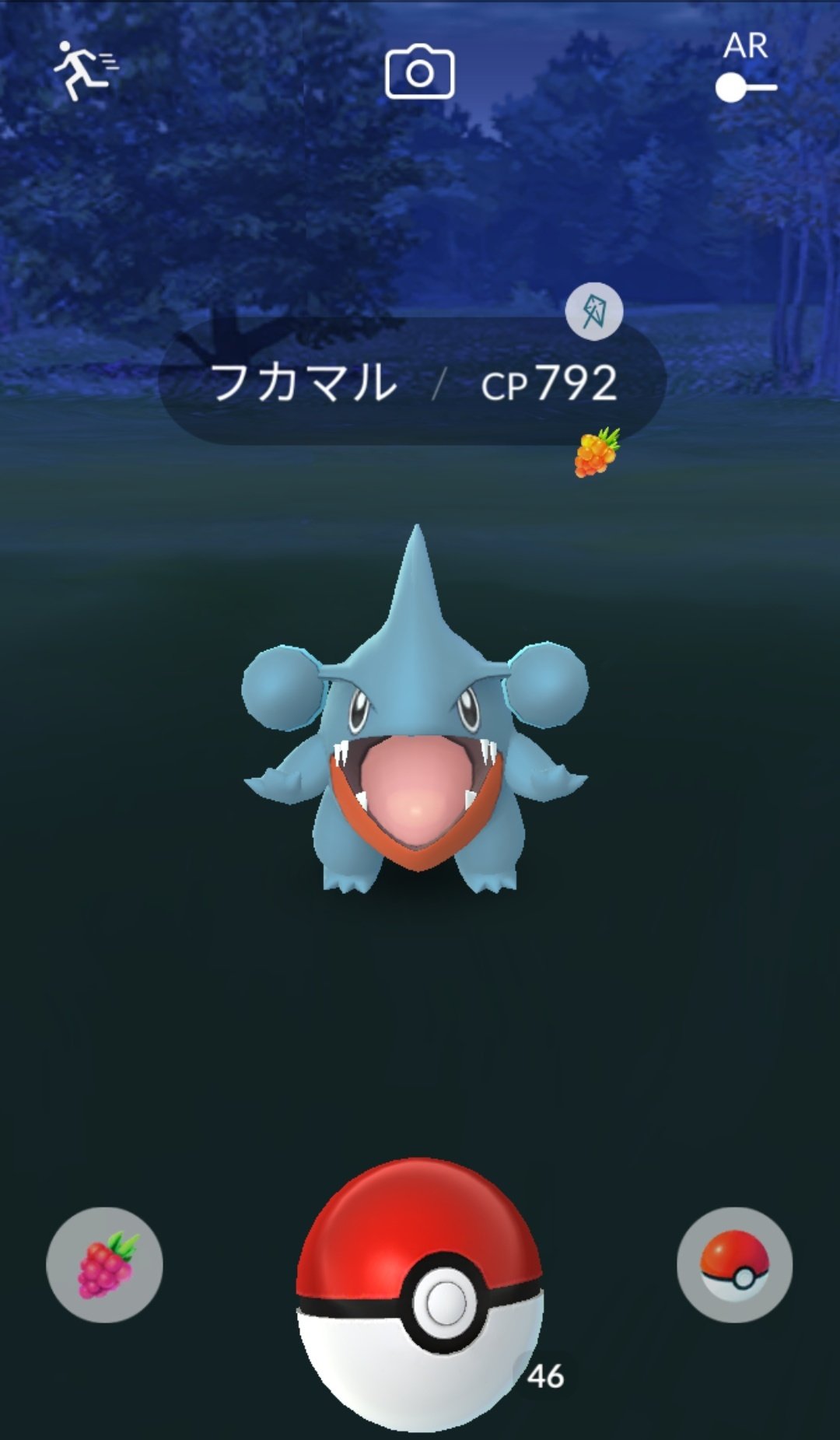 たかちゃん ポケモンgo フカマル 上野公園がポカブの巣になってるので午後から行ってみたけど 全然駄目 帰りがけに見知らぬ影を発見 無事初フカマルゲットできました T Co Aelz1bfkbm Twitter