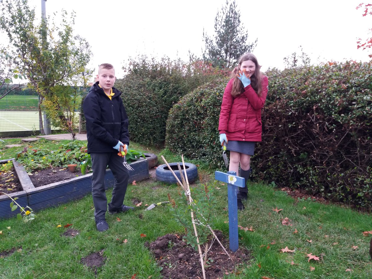 ToniGPASP's tweet photo. Great morning @St Timothy's planting their bulb area well done everyone in P7. https://t.co/ETAY0pb4LE