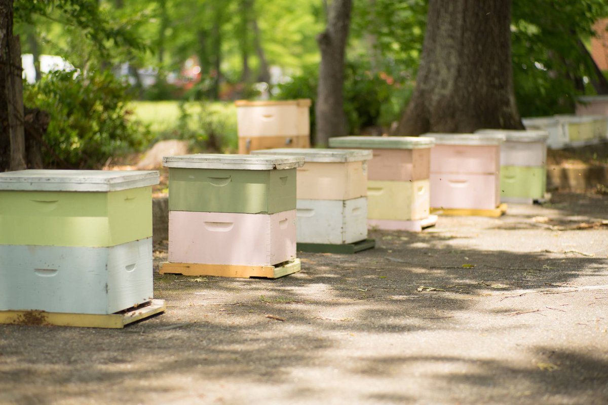 McArt Lab tweet media