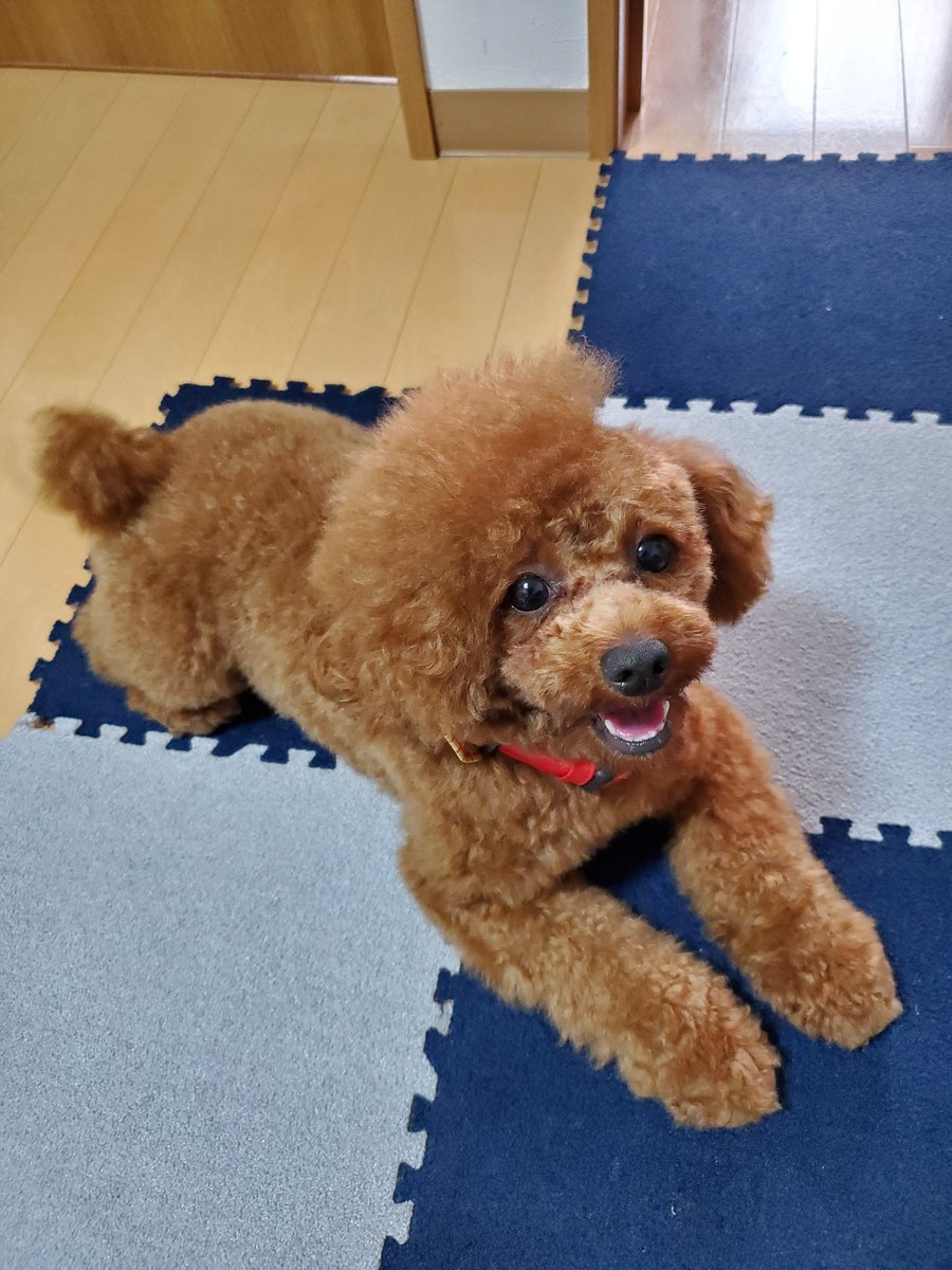 カズタロ Kazutaroblog טוויטר カズタロ Kazutaroblog טוויטר