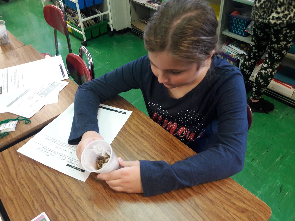 MrsGibson5th's tweet photo. Studying seeds - monocots and dicots! #isd109pride @BrodnickiSchool https://t.co/STyxQGVwVm