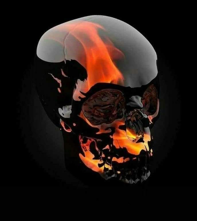 skulllovers1234's tweet photo. #instaskull #instabrain #instacap #instatattoo #instaisland #instaart #instaman #instabones https://t.co/wFHrZeKm1W