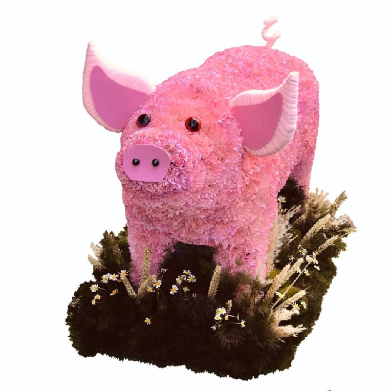 pick_a_posy's tweet photo. Lovely 3D Pig. Beautifully made by our florist Emma.  Bespoke Funeral flowers are just lovely tribute to have made, reflects a loved ones personality or there great loves.
#pig #piggy #strood #stroodflorist #rochester #rochesterflorist #medway #chatham #gillingham https://t.co/JHAvsgbnWK