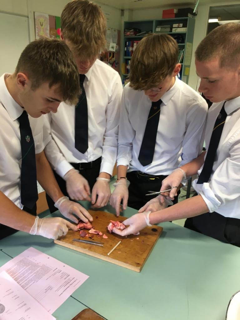 WHS Biology tweet media