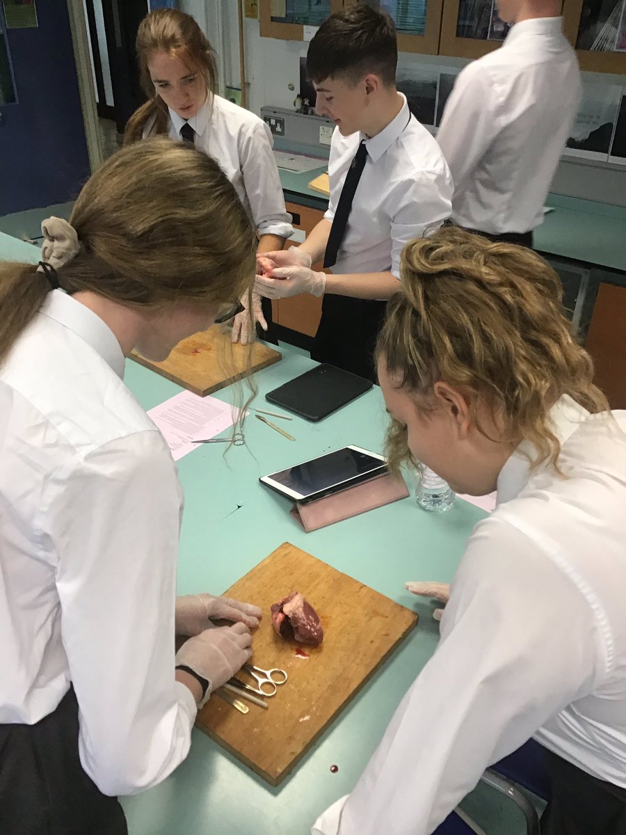 WHS Biology tweet media