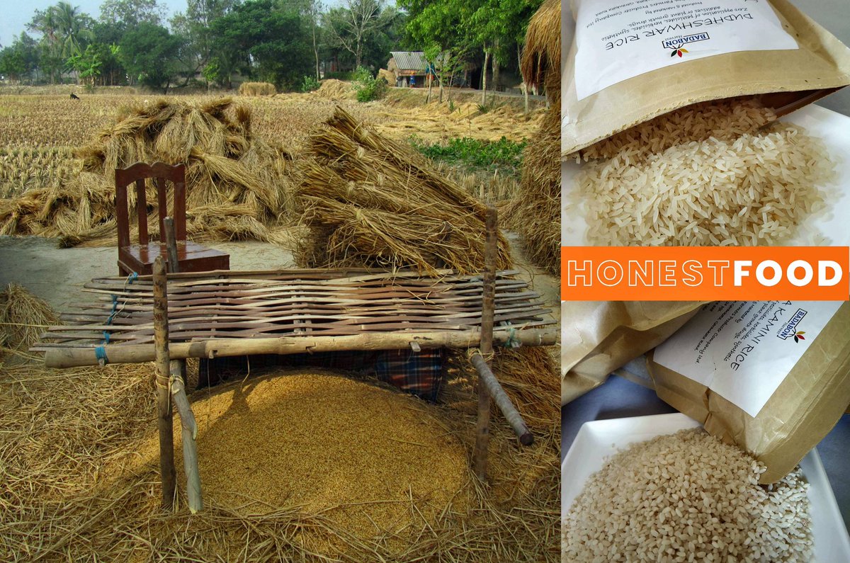 Badabon Harvest tweet media