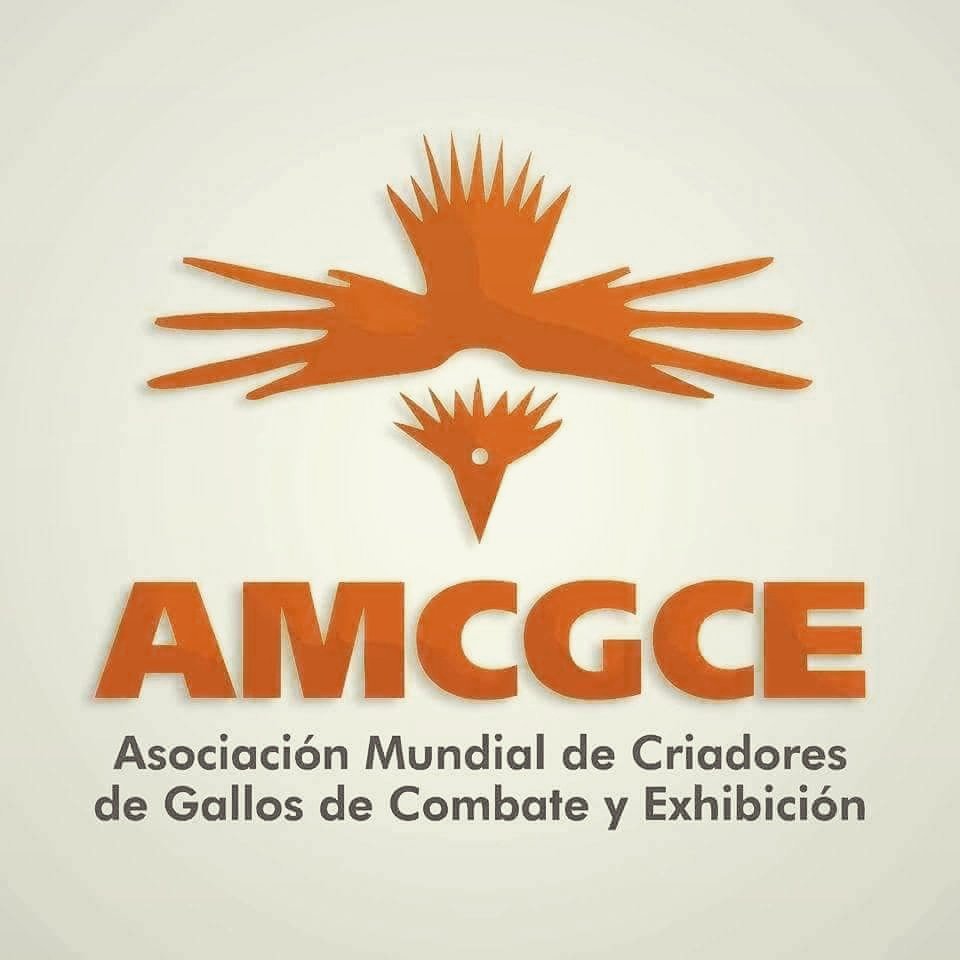 CisnerosMartell's tweet photo. #AMCGCE https://t.co/Ri7ZAFkM0i