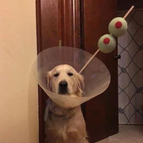 defotovandedag (@defotovandedag) on Twitter photo 