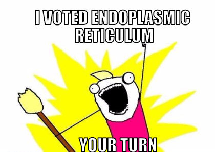 EndoReticulum5's tweet photo. @Bio2019Frazee #organellewars https://t.co/8soAO1vPcl