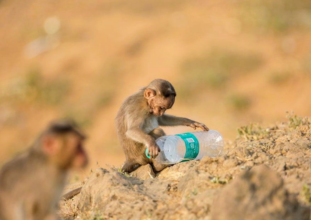 rizpaille's tweet photo. Vous ne vous sentez pas concerné ? Ils ne sont pas les seuls a vivre avec ce fléau en plastique, cet enfant a reçu ses emballages de Noël.Ensembles nous avons le pouvoir de décider pour la planète 🌏
https://t.co/faFWeXRZJC https://t.co/unVN2Ozh28