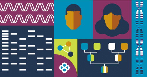 hudsonalpha's tweet photo. Curious about how you can win #SMRT Sequencing through the @PacBio & #HudsonAlpha human genetics #SMRTGrant ? Explore these SMRT sequencing applications & apply today for this unique opportunity. Deadline is Nov 22 #humangenetics #sequencing #research
https://t.co/r1XpKFzoLC https://t.co/twhlCpa7nJ