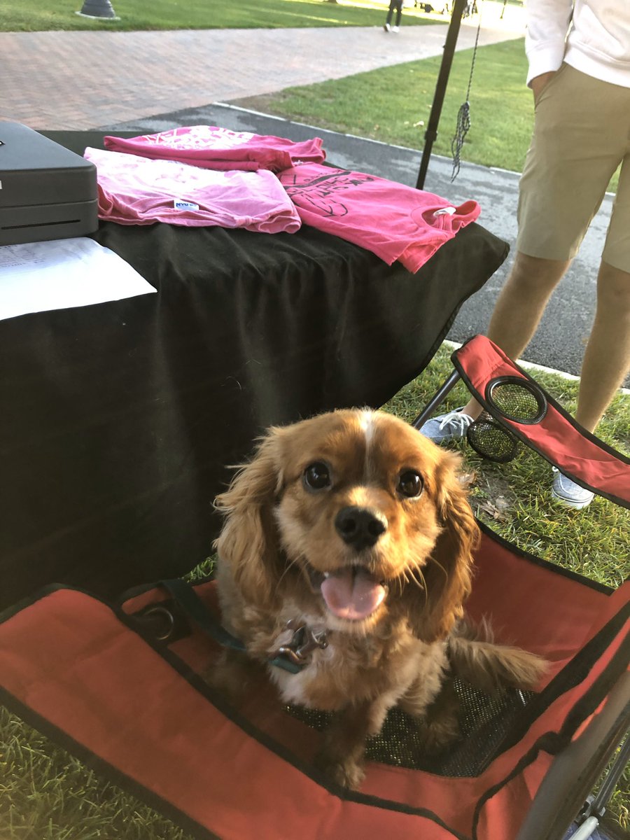 Come buy a shirt from Henry! 🤗🐶