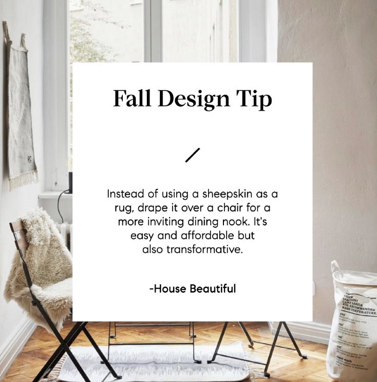 NancyJgrossman's tweet photo. This #Falldesigntip will give your dining area a cozy feel. #tiptuesday #fallflorals #agentsofcompass
#mainlinefinehomes
#thecompassdifference #compassgreaterphilly https://t.co/KHmfU0z9Zy