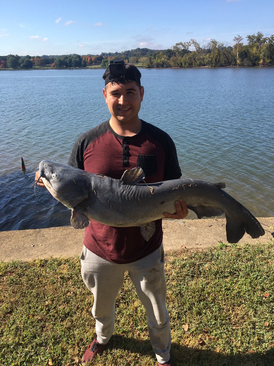 TheFishinMagic3's tweet image. Fall is here! 🎣🎣 #catfishing #WashingtonDC #TuesdayMorning