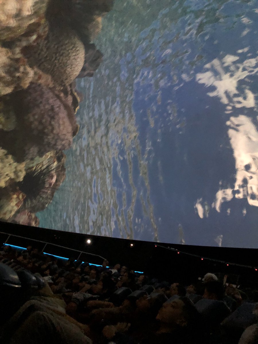 LopezprinciPAL's tweet photo. Late post: our6th grade students enjoyed their science field trip to the Houston museum of natural science @edison_school @MrRigneyScience @HISDEastArea #edisonproud #rangerthings #edisonchapter2 https://t.co/lnLn0DU3Wn