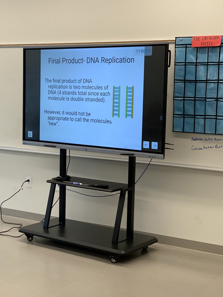 KCS_STREAM's tweet photo. Modeling DNA Replication in Dr. Rhoton’s biology class! Love seeing students engaged in science practices! @KCS_District @TribePrincipal @CinnamonDr #modelinginscience https://t.co/jPlnNkZL5k